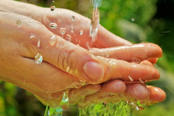 hands getting washed